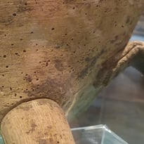 Petites bêtes, grands dégâts