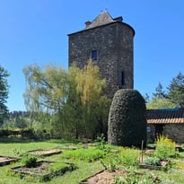 Flânerie médiévale et gourmande