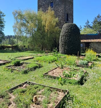 Flânerie médiévale et gourmande