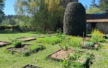 Flânerie médiévale et gourmande